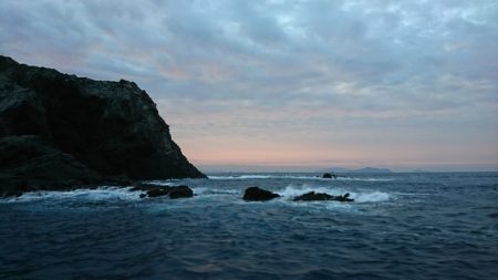 しば渡船 釣果