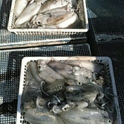 フィッシングガイド りょう 釣果