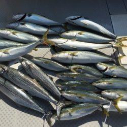 ミタチ丸 釣果