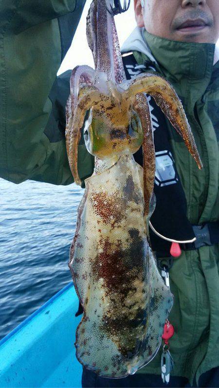 宝昌丸 釣果