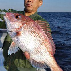 めだか屋 釣果