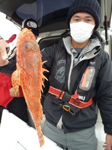 浅間丸 釣果