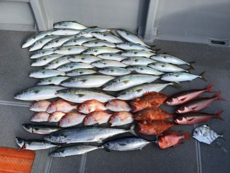 へいみつ丸 釣果