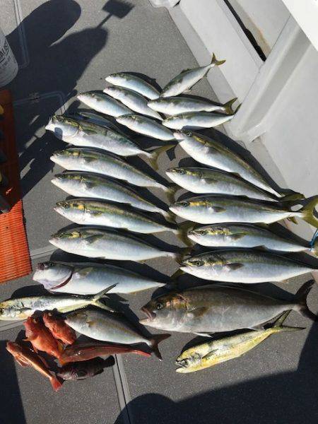 へいみつ丸 釣果