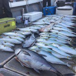 幸風（さちかぜ） 釣果