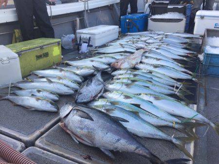 幸風（さちかぜ） 釣果