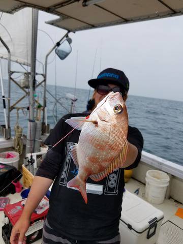 遊漁船　ニライカナイ 釣果