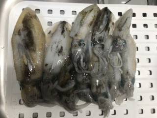 なかくに丸 釣果