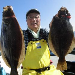 大進丸（愛知） 釣果