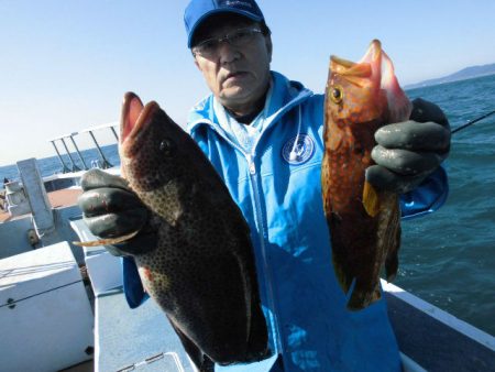 大進丸（愛知） 釣果