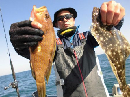 大進丸（愛知） 釣果