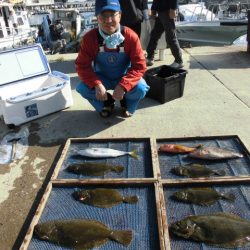 大進丸（愛知） 釣果