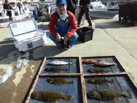 大進丸（愛知） 釣果