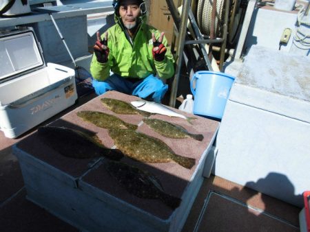 大進丸（愛知） 釣果