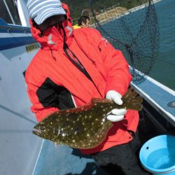 大進丸（愛知） 釣果