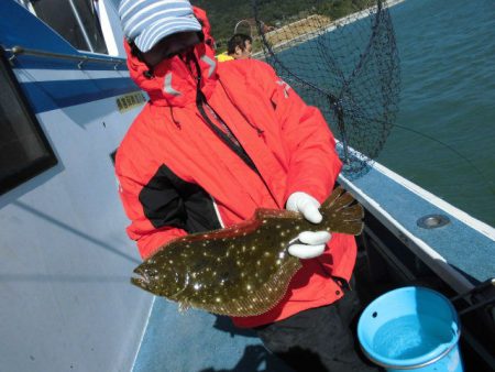 大進丸（愛知） 釣果