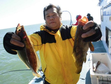 大進丸（愛知） 釣果