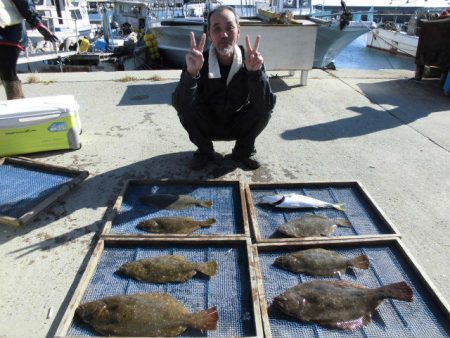 大進丸（愛知） 釣果