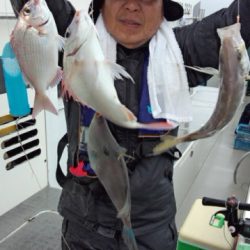 泰丸 釣果