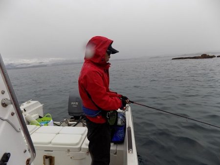 フィッシングボート空風（そらかぜ） 釣果