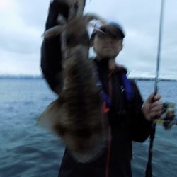 フィッシングボート空風（そらかぜ） 釣果