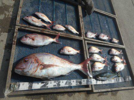 大進丸（愛知） 釣果