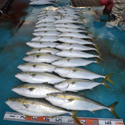 アジアマリンサービス 釣果