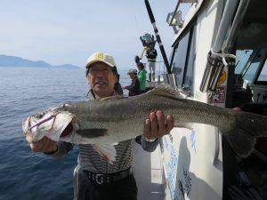 ブルーズ 釣果