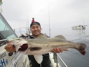 ブルーズ 釣果