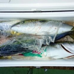 火遠理丸（ほおりまる） 釣果