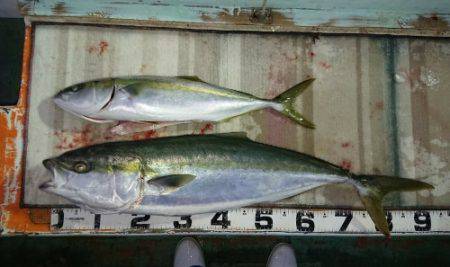 火遠理丸（ほおりまる） 釣果