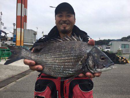 由良渡船 釣果