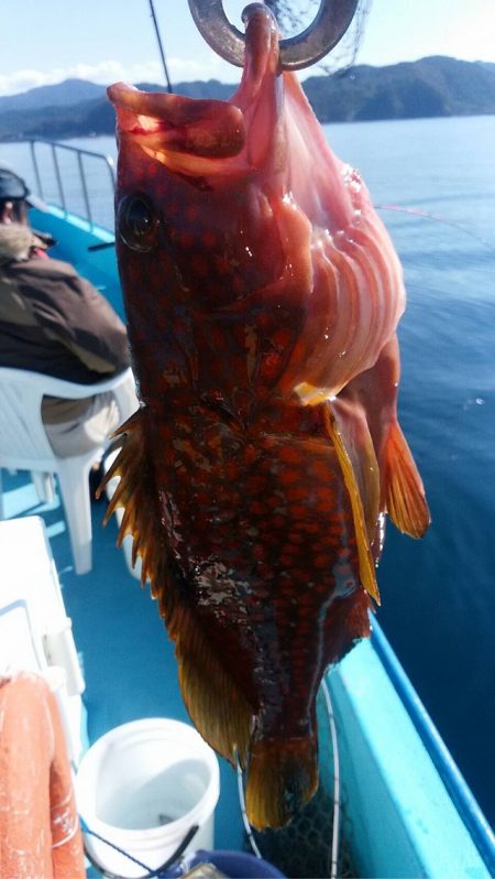 宝昌丸 釣果