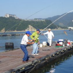 淡路じゃのひれフィッシングパーク 釣果