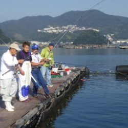 淡路じゃのひれフィッシングパーク 釣果