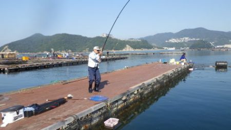 淡路じゃのひれフィッシングパーク 釣果