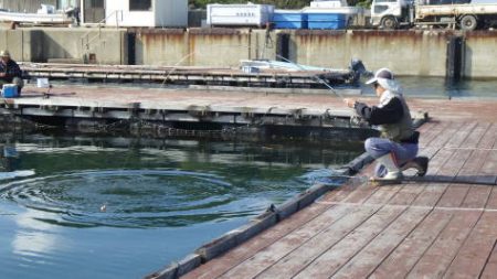 淡路じゃのひれフィッシングパーク 釣果