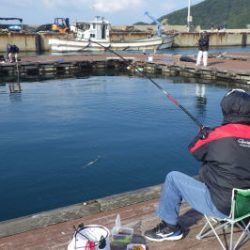 淡路じゃのひれフィッシングパーク 釣果