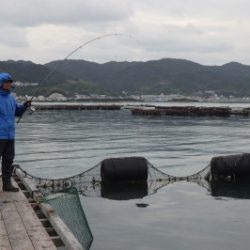 淡路じゃのひれフィッシングパーク 釣果