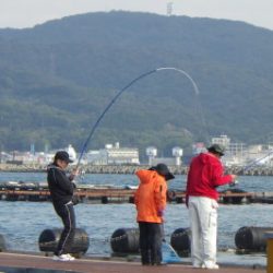 淡路じゃのひれフィッシングパーク 釣果