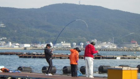 淡路じゃのひれフィッシングパーク 釣果