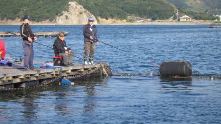 淡路じゃのひれフィッシングパーク 釣果