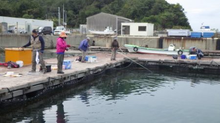 淡路じゃのひれフィッシングパーク 釣果