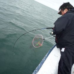 浅間丸 釣果