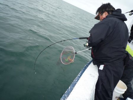 浅間丸 釣果