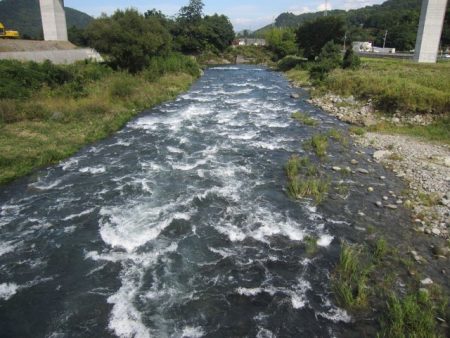 狩野川（狩野川漁業協同組合） 釣果