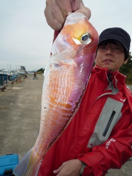 浅間丸 釣果