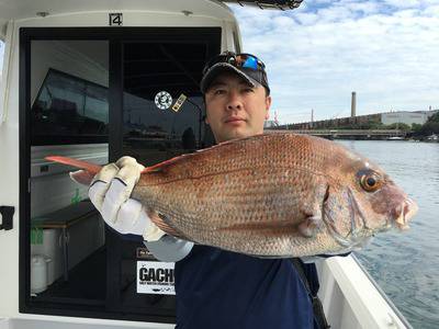 ミタチ丸 釣果