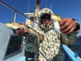 おざき丸 釣果