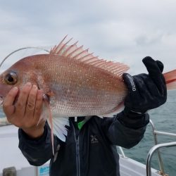 遊漁船　ニライカナイ 釣果